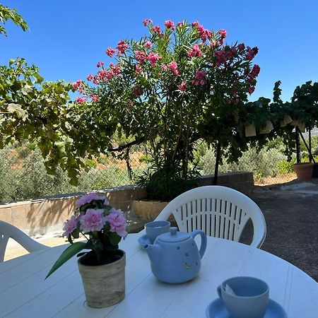 Casa Rural Del Saz Yeste Eksteriør billede