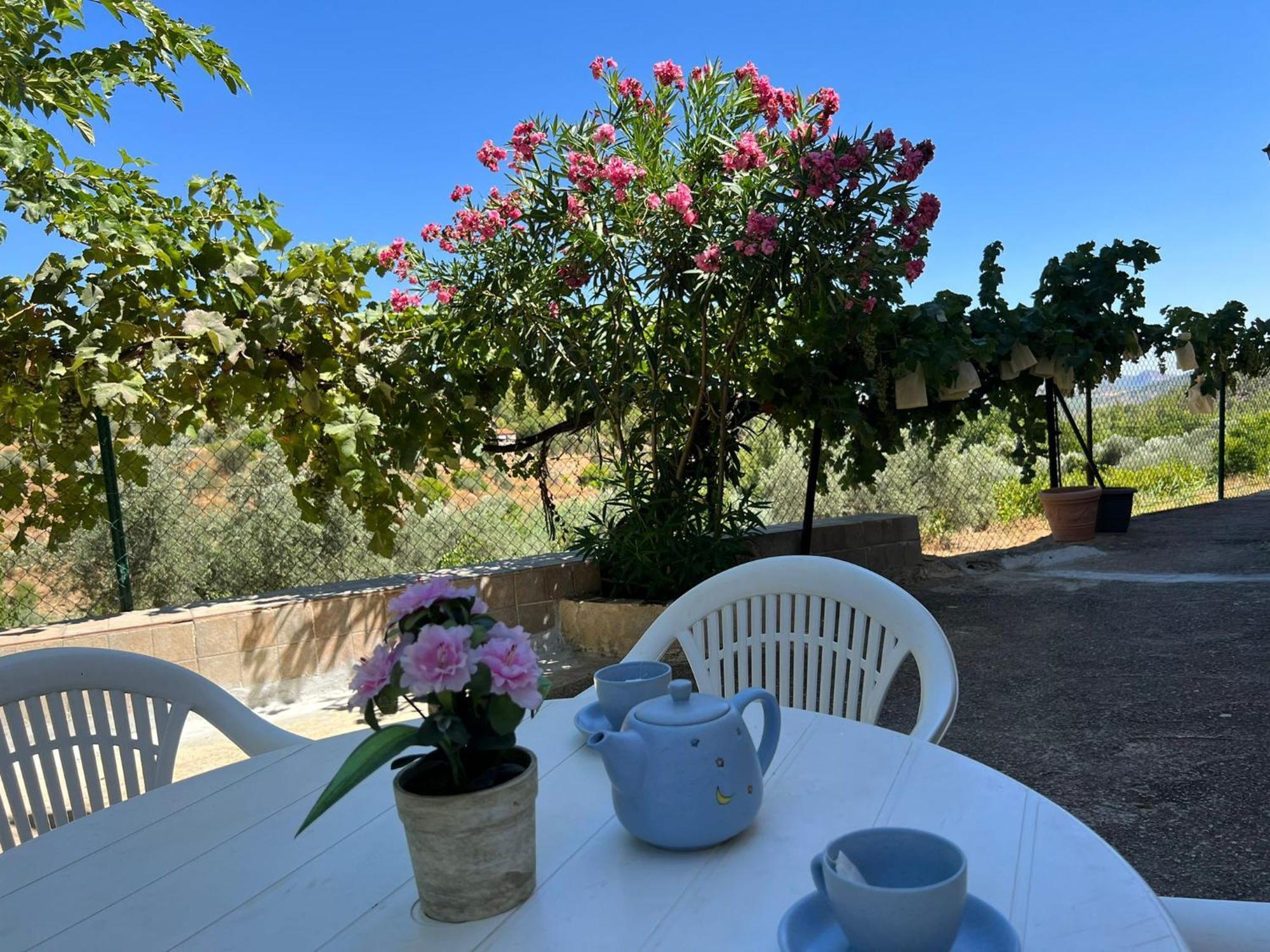 Casa Rural Del Saz Yeste Eksteriør billede